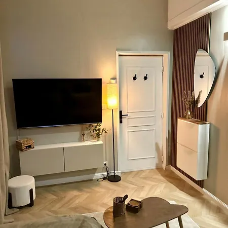 Le Cocon Du Centre, T1 Bis Avec Separe *